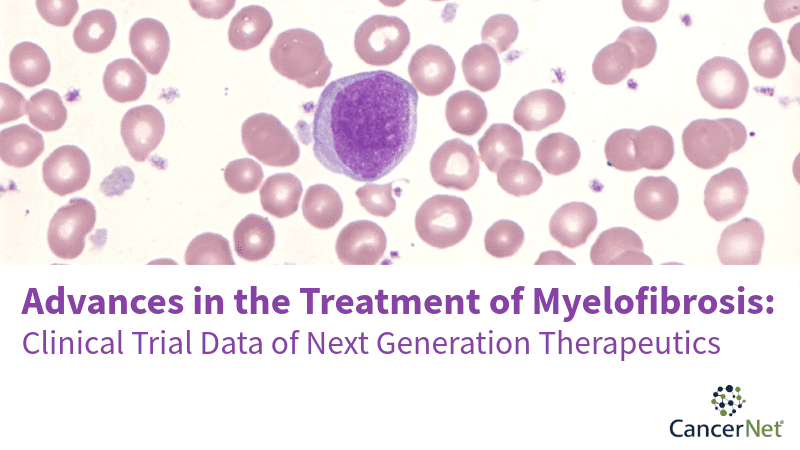 Microscopic view of blood cells, myelofibrosis research.